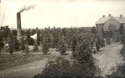 Brink's love of landscaping with trees resulted in a dense forest on practically all land that did not have buildings.  His handiwork quickly became known as Brink's Forest.